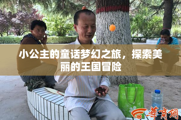 小公主的童话梦幻之旅，探索美丽的王国冒险
