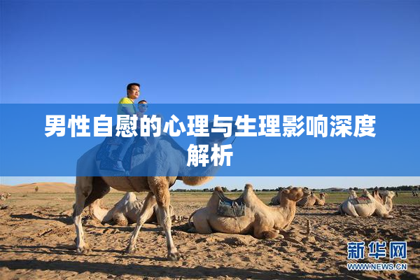 男性自慰的心理与生理影响深度解析