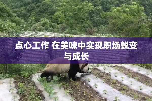 点心工作 在美味中实现职场蜕变与成长