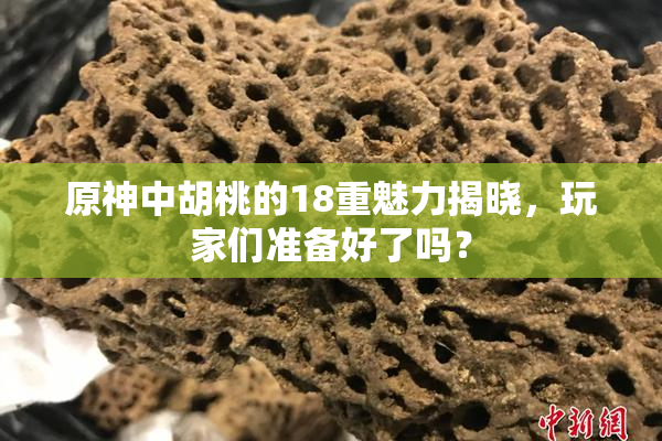 原神中胡桃的18重魅力揭晓，玩家们准备好了吗？