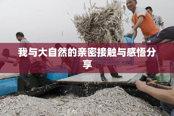 我与大自然的亲密接触与感悟分享