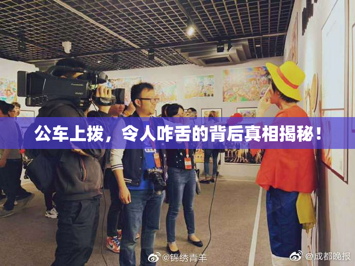 公车上拨，令人咋舌的背后真相揭秘！