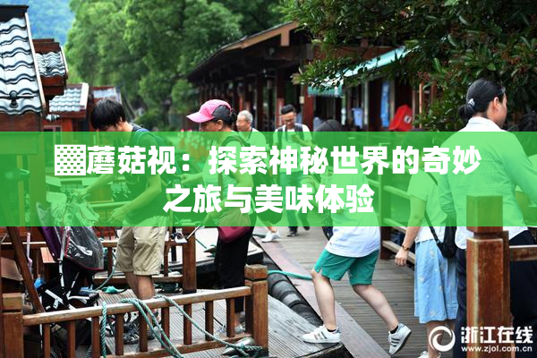 ▓蘑菇视：探索神秘世界的奇妙之旅与美味体验