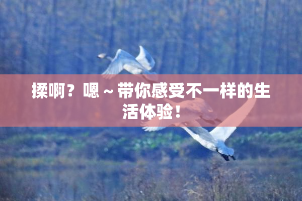 揉啊？嗯～带你感受不一样的生活体验！