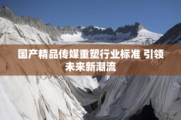 国产精品传媒重塑行业标准 引领未来新潮流