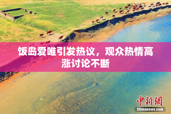 饭岛爱唯引发热议，观众热情高涨讨论不断