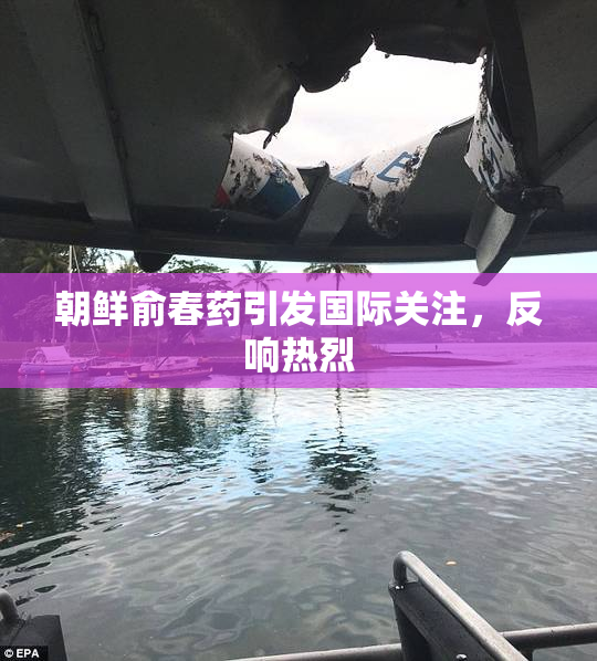 朝鲜俞春药引发国际关注，反响热烈