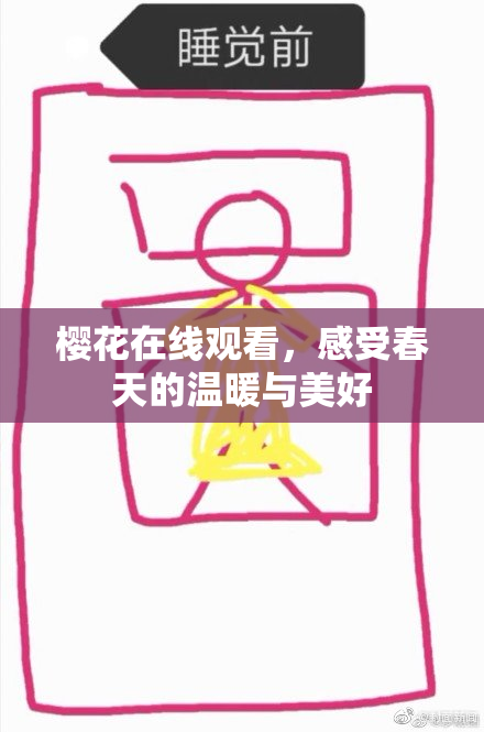 樱花在线观看，感受春天的温暖与美好