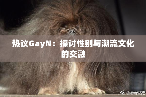 热议GayN：探讨性别与潮流文化的交融