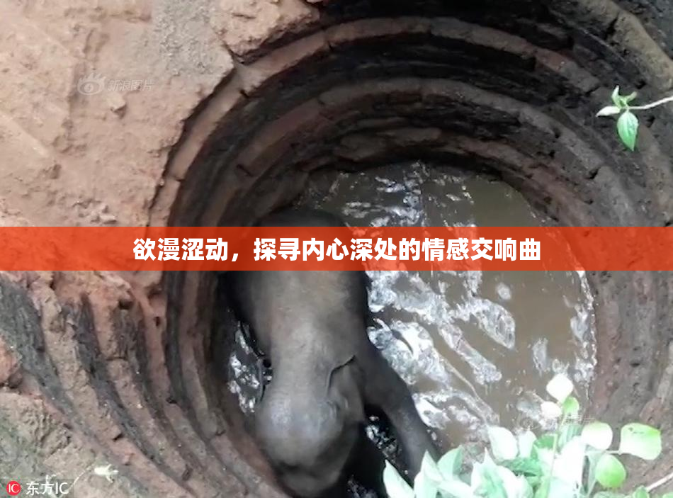 欲漫涩动，探寻内心深处的情感交响曲