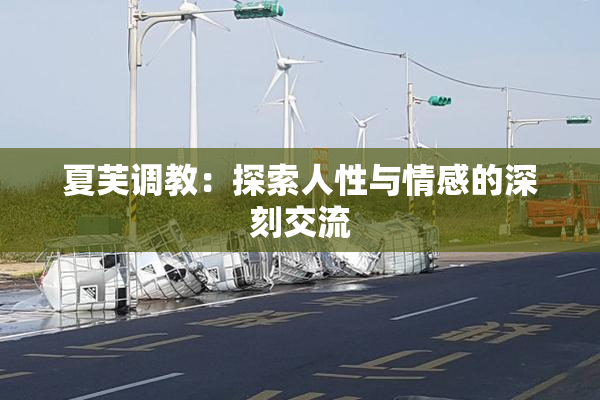 夏芙调教：探索人性与情感的深刻交流