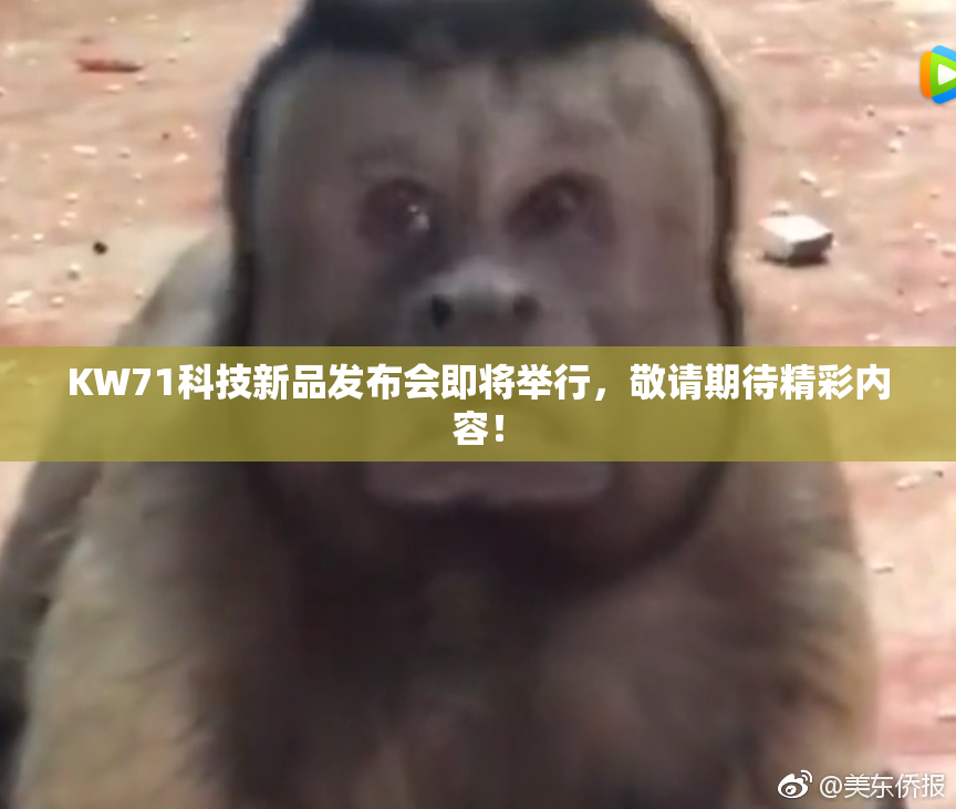 KW71科技新品发布会即将举行，敬请期待精彩内容！