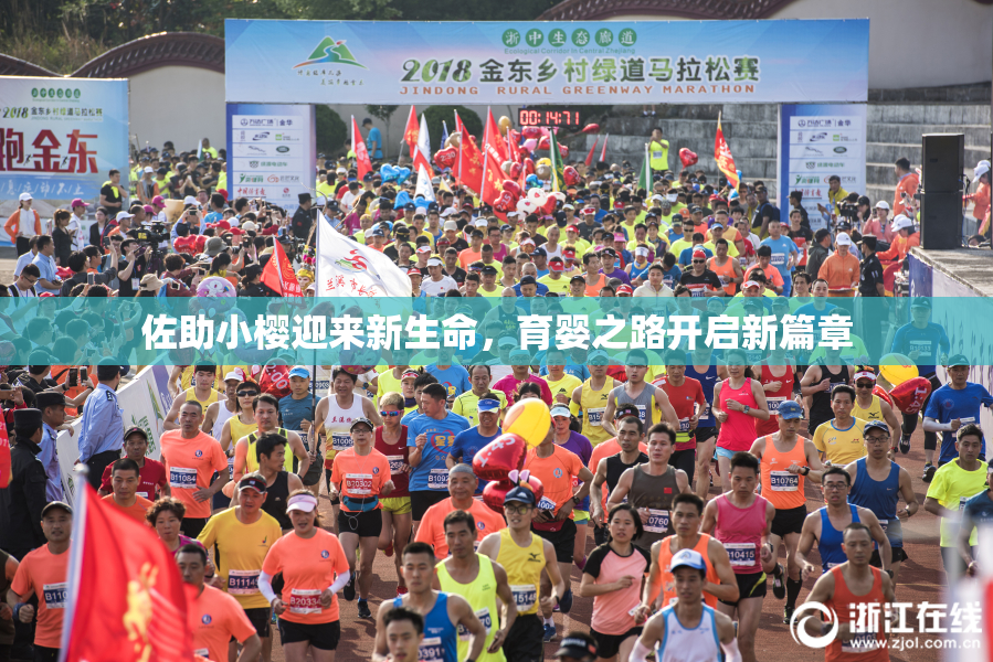 佐助小樱迎来新生命，育婴之路开启新篇章