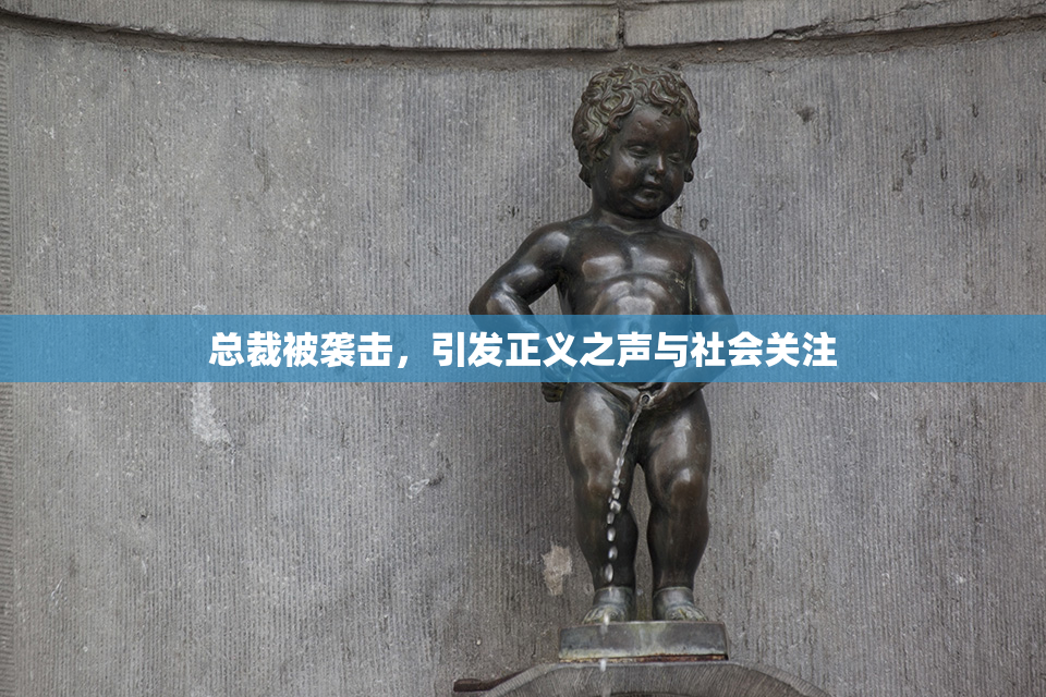 总裁被袭击，引发正义之声与社会关注