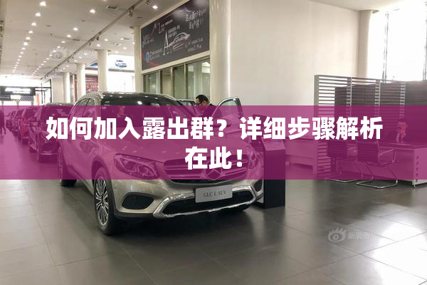 如何加入露出群？详细步骤解析在此！