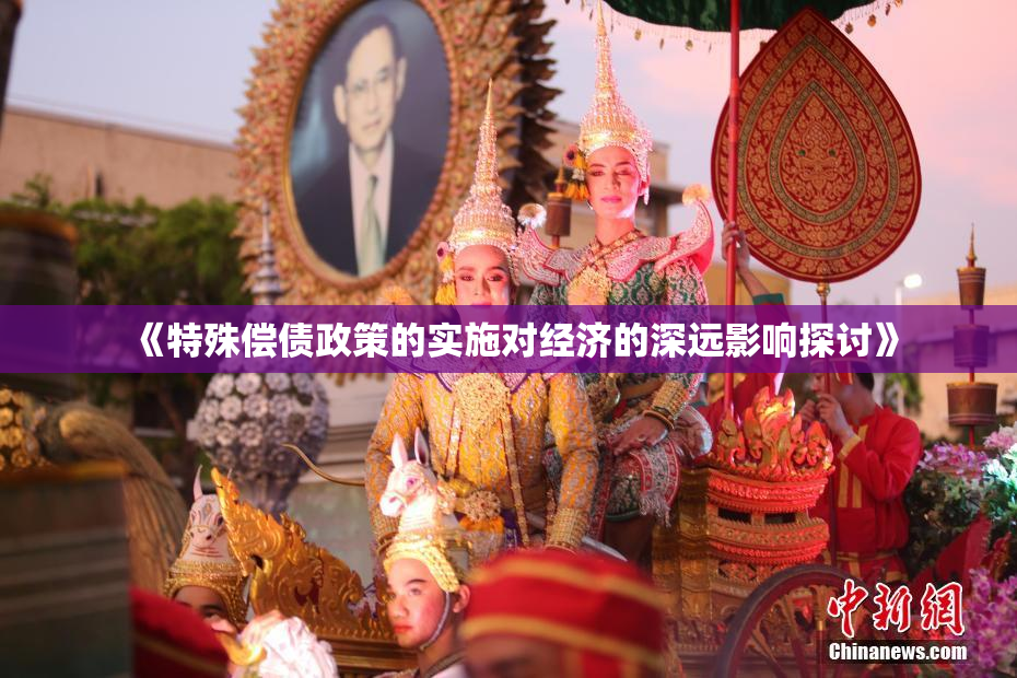 《特殊偿债政策的实施对经济的深远影响探讨》