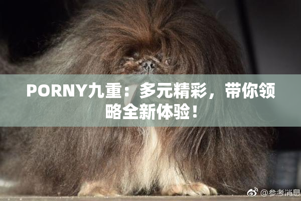 PORNY九重：多元精彩，带你领略全新体验！