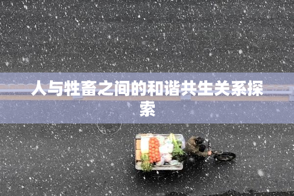 人与牲畜之间的和谐共生关系探索