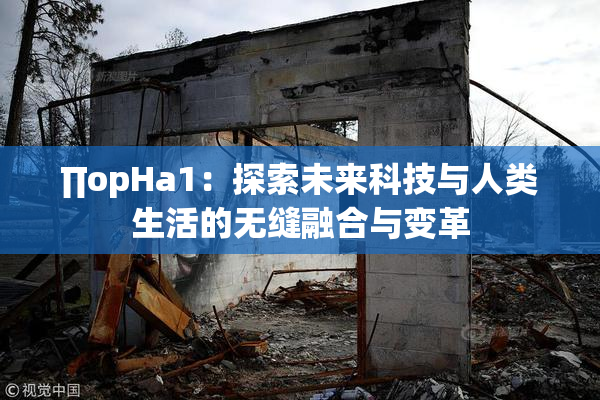 ∏opHa1：探索未来科技与人类生活的无缝融合与变革