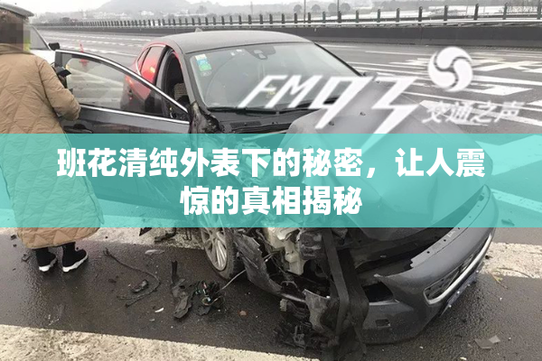 班花清纯外表下的秘密，让人震惊的真相揭秘