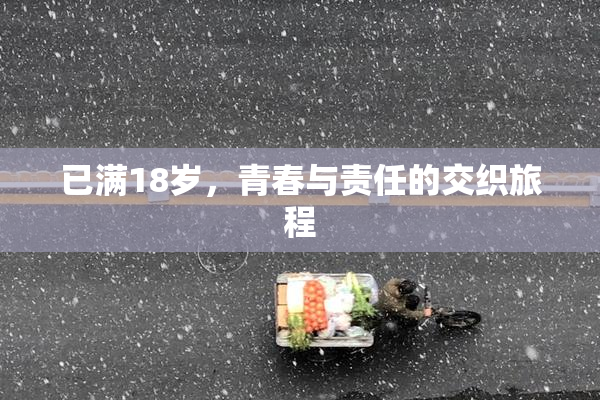 已满18岁，青春与责任的交织旅程