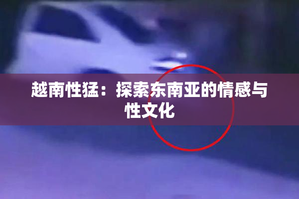 越南性猛：探索东南亚的情感与性文化