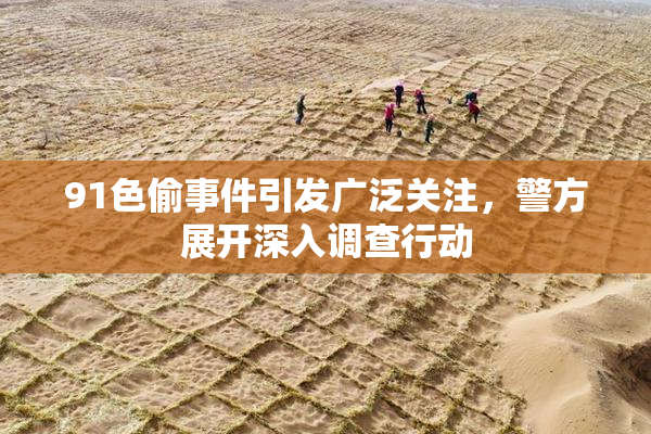 91色偷事件引发广泛关注，警方展开深入调查行动
