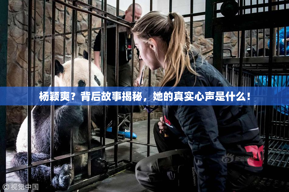 杨颖爽？背后故事揭秘，她的真实心声是什么！