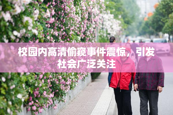 校园内高清偷窥事件震惊，引发社会广泛关注