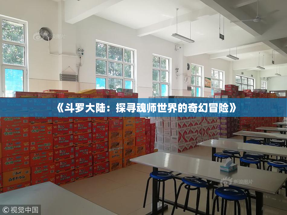 《斗罗大陆：探寻魂师世界的奇幻冒险》