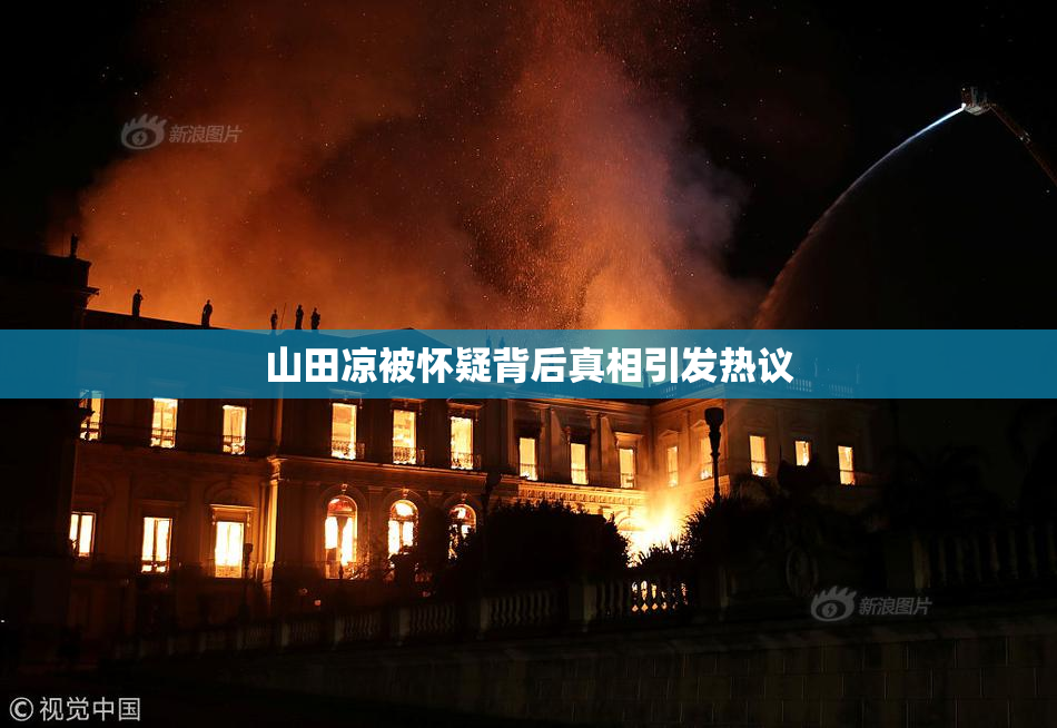 山田凉被怀疑背后真相引发热议