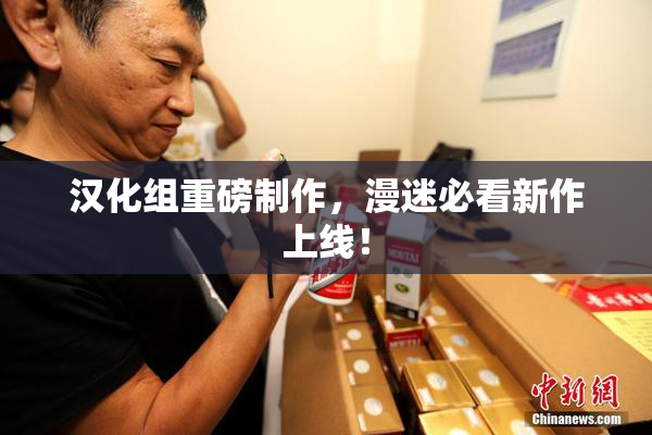 汉化组重磅制作，漫迷必看新作上线！