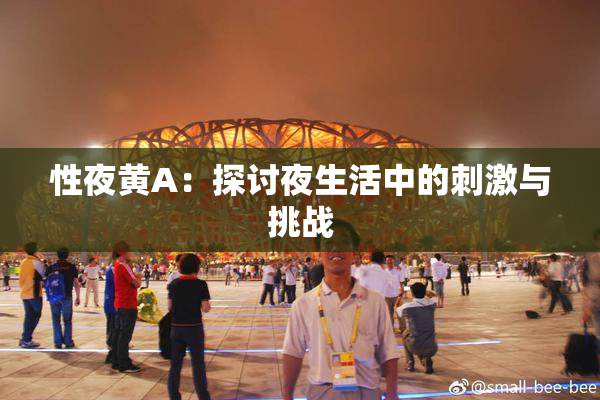 性夜黄A：探讨夜生活中的刺激与挑战