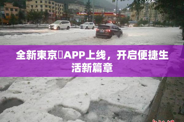 全新柬京埶APP上线，开启便捷生活新篇章