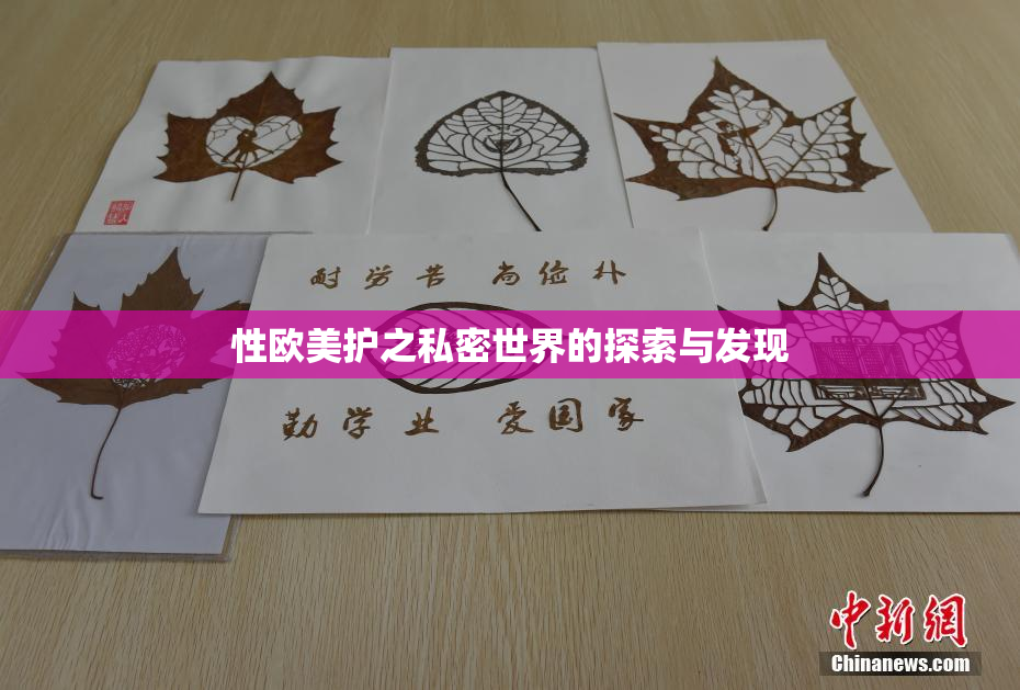 性欧美护之私密世界的探索与发现
