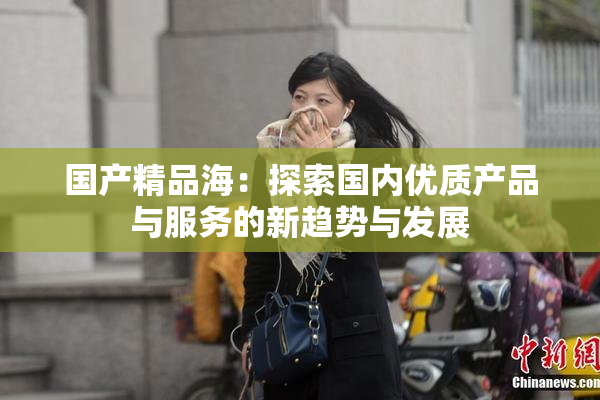 国产精品海：探索国内优质产品与服务的新趋势与发展