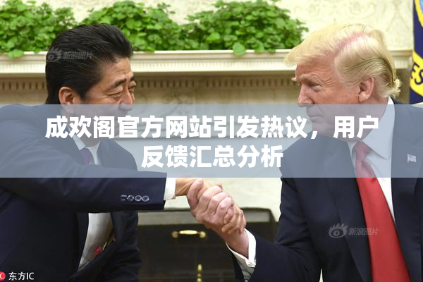 成欢阁官方网站引发热议，用户反馈汇总分析