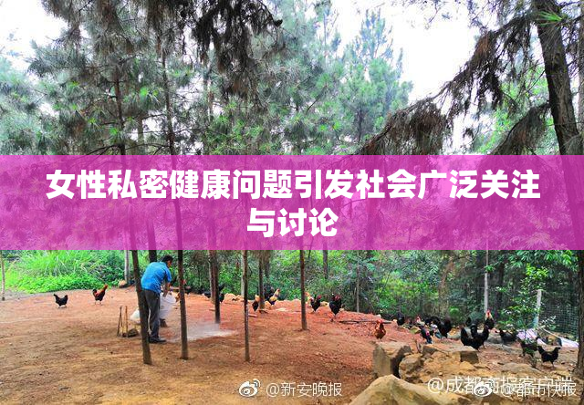 女性私密健康问题引发社会广泛关注与讨论