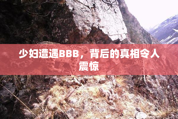 少妇遭遇BBB，背后的真相令人震惊