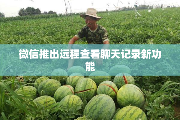 微信推出远程查看聊天记录新功能