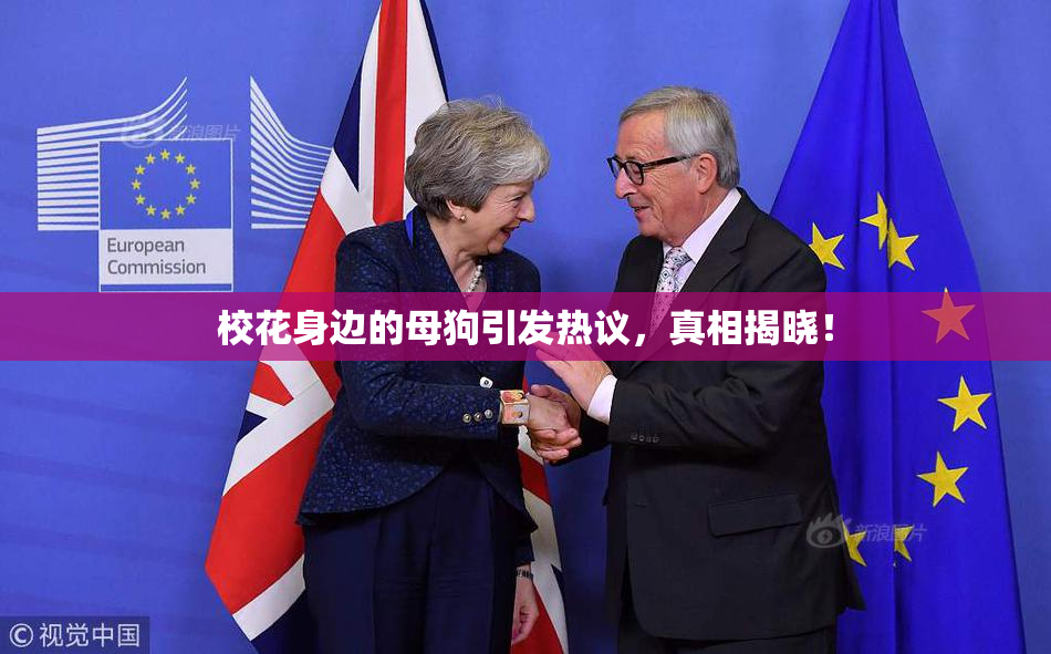 校花身边的母狗引发热议，真相揭晓！