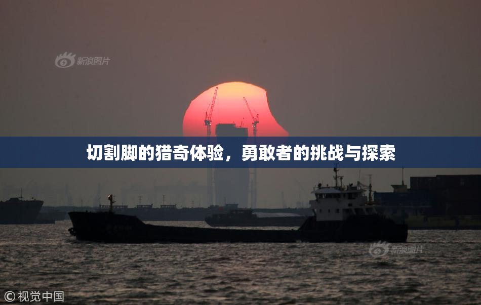切割脚的猎奇体验，勇敢者的挑战与探索