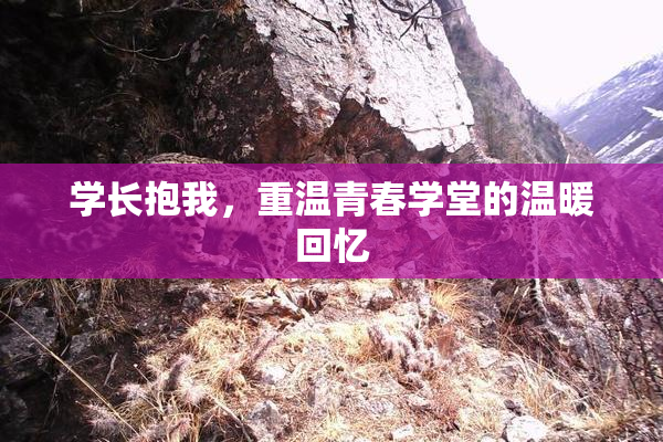 学长抱我，重温青春学堂的温暖回忆
