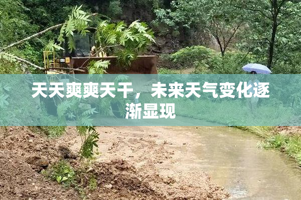天天爽爽天干，未来天气变化逐渐显现