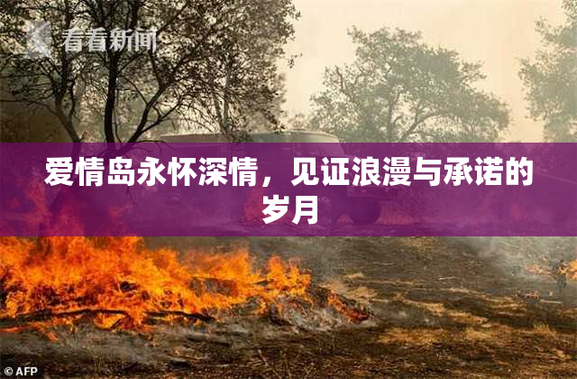 爱情岛永怀深情，见证浪漫与承诺的岁月