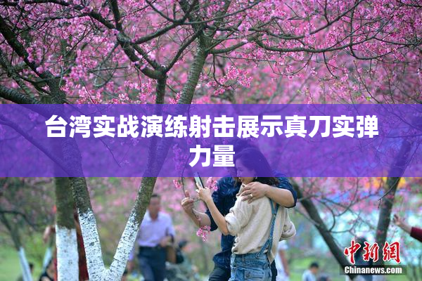台湾实战演练射击展示真刀实弹力量