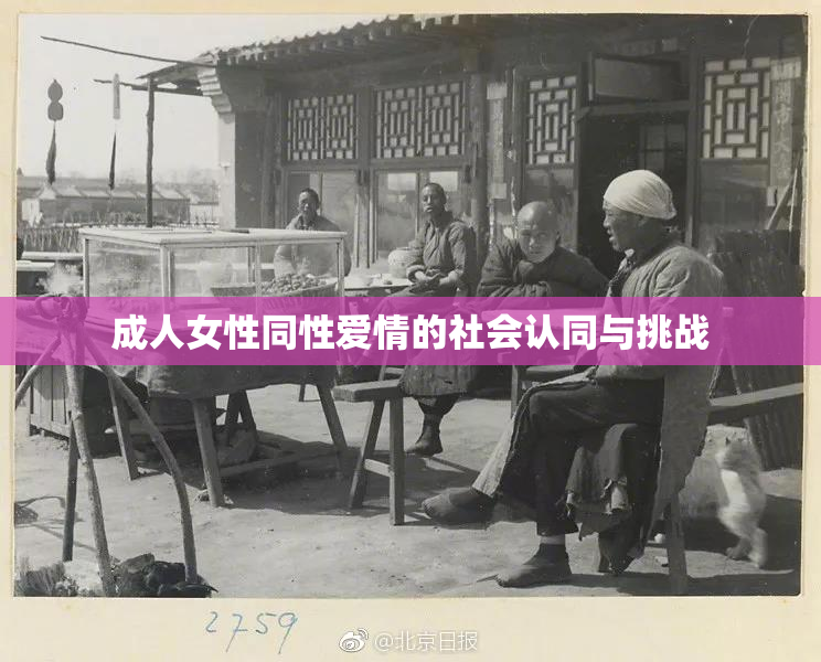 成人女性同性爱情的社会认同与挑战