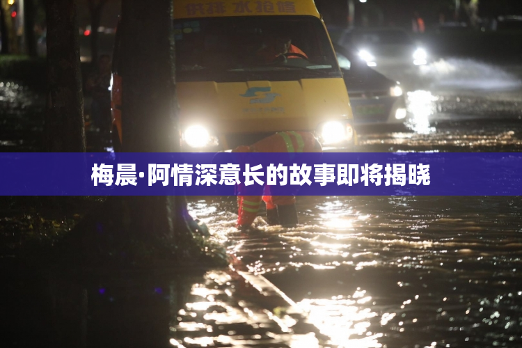 梅晨·阿情深意长的故事即将揭晓