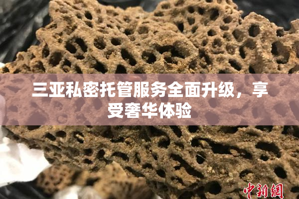 三亚私密托管服务全面升级，享受奢华体验