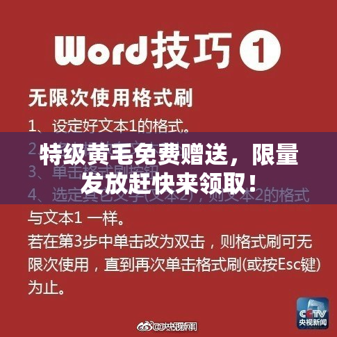 特级黄毛免费赠送，限量发放赶快来领取！